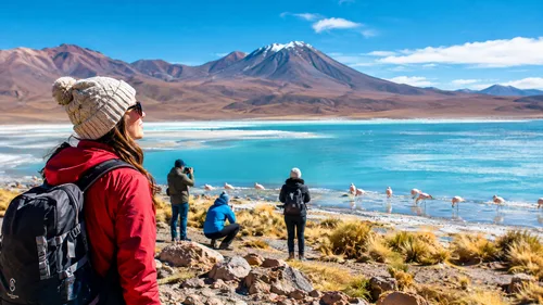 Salar Lagoons & Salt Flats