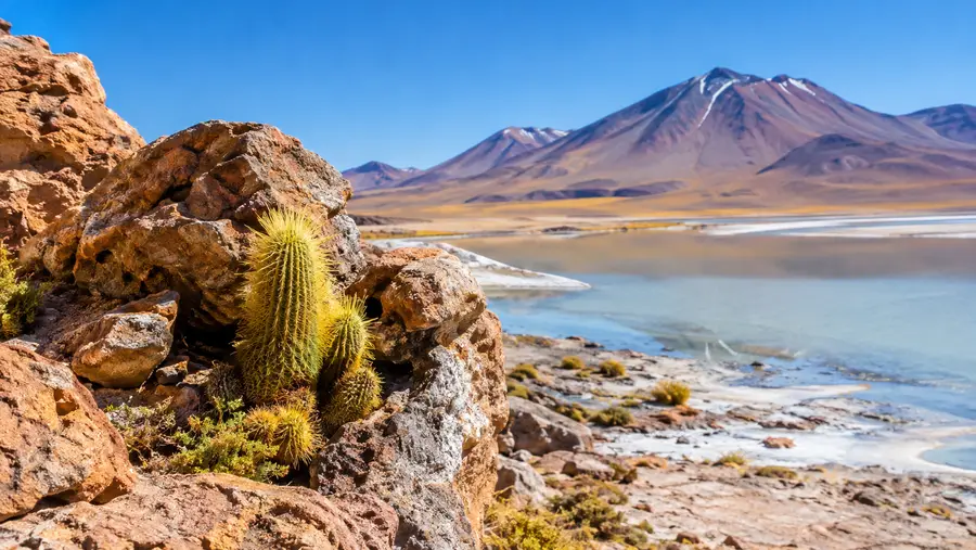 Best Things to Do & Attractions in the Atacama Desert